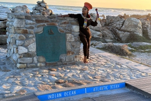 Из Кейптауна: индивидуальный тур на целый день на мыс Игольный