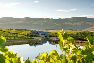 Из Кейптауна: индивидуальный тур на целый день на мыс Игольный