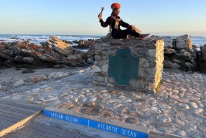 Из Кейптауна: индивидуальный тур на целый день на мыс Игольный