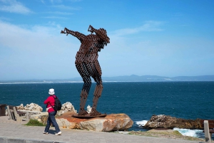 Из Кейптауна: индивидуальный тур на целый день на мыс Игольный