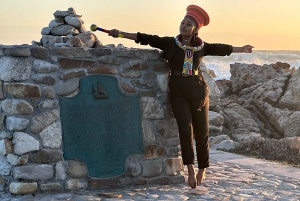 Из Кейптауна: индивидуальный тур на целый день на мыс Игольный