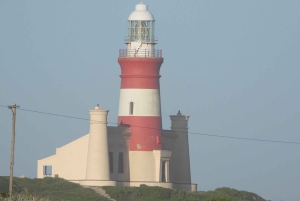 Из Кейптауна: индивидуальный тур на целый день на мыс Игольный