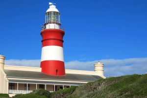 From Cape Town: Full-Day Cape Agulhas Private Tour