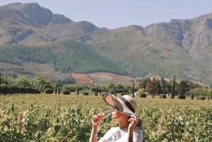 Von Kapstadt: Ganztägige Cape Winelands Taste Tour + Tram
