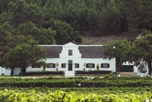 Von Kapstadt: Ganztägige Cape Winelands Taste Tour + Tram