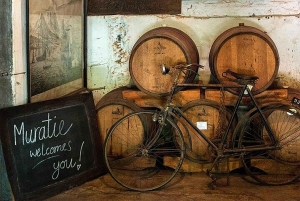 Von Kapstadt: Ganztägige Cape Winelands Taste Tour + Tram