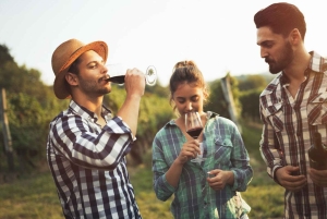 Von Kapstadt: Ganztägige Cape Winelands Taste Tour + Tram