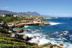 From Cape Town: Full Day Guided Tour to Hermanus