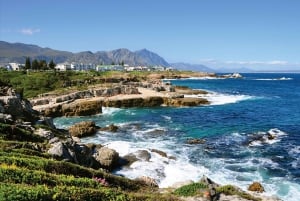 Fra Cape Town: Guidet heldagstur til Hermanus