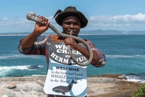 Fra Cape Town: Guidet heldagstur til Hermanus
