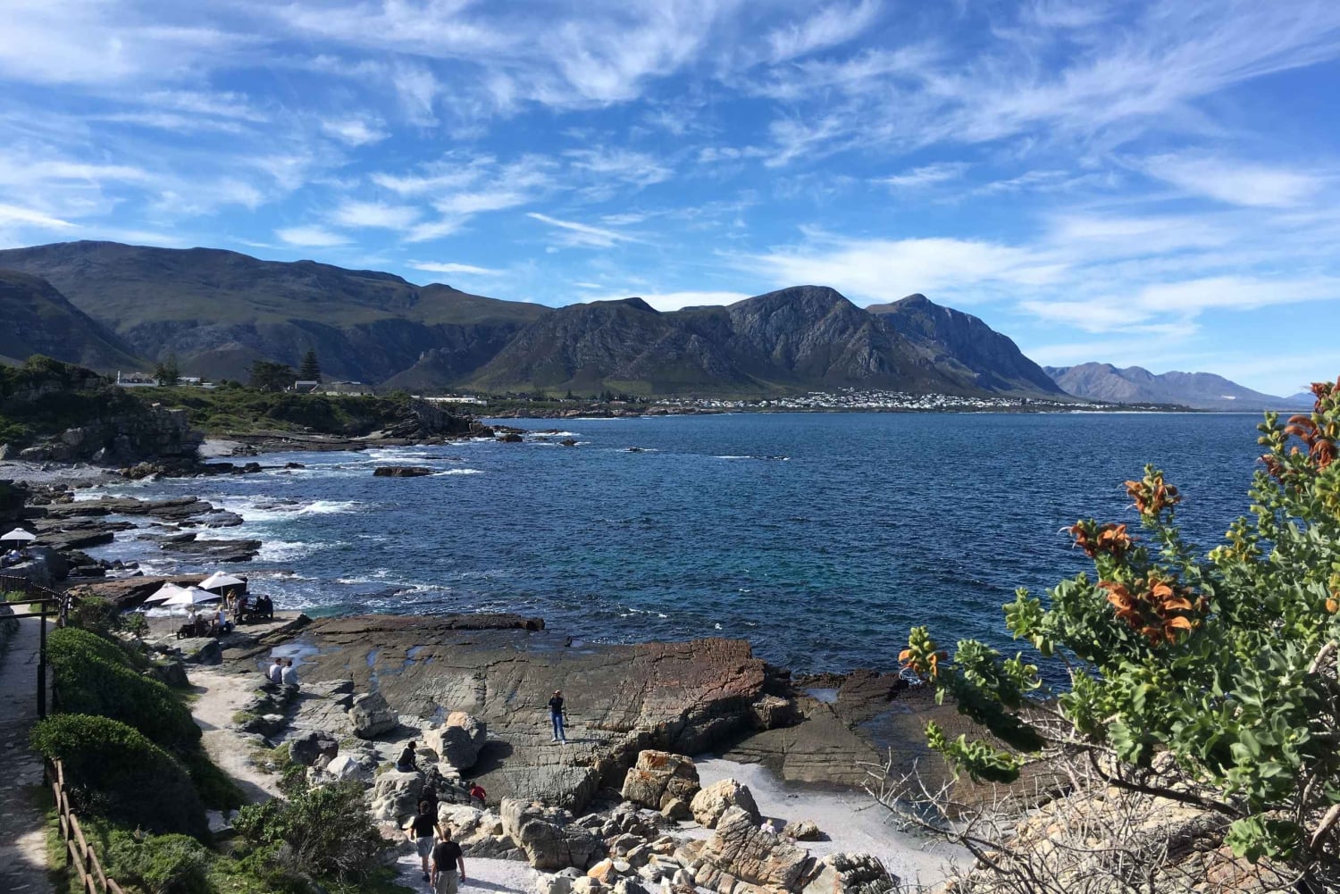 Fra Cape Town: Heldagstur til Hermanus