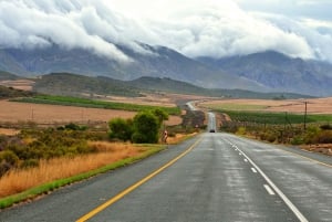 Garden Route, Addo and Winelands: 7-Day Combo from Cape Town