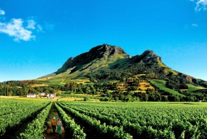 Garden Route, Addo and Winelands: 7-Day Combo from Cape Town