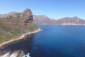 Ab Kapstadt: Robbenbeobachtungstour mit dem Glasbodenboot