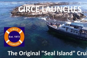 Desde Ciudad del Cabo: Excursión en barco con fondo de cristal para avistar focas