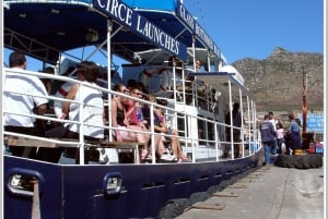 From Cape Town: Glass-Bottom Boat Seal Watching Tour