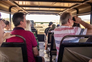 Fra Cape Town: Kun gruppetransport til Aquilla Game Reserve