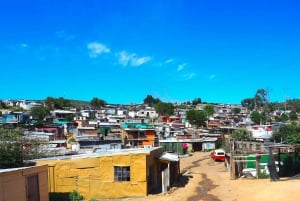 Fra Cape Town: Guidet dagstur i de lokale townships