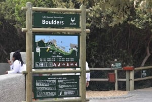 From Cape Town: Half-Day Boulders Beach and Penguins Tour