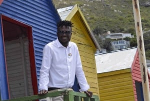 Из Кейптауна: тур на полдня по пляжу Боулдерс и пингвинам