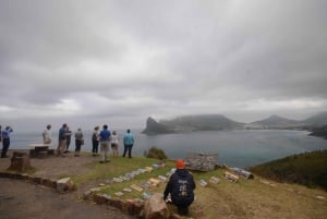Vanuit Kaapstad: Halfdaagse tour langs Boulders Beach en Pinguïns
