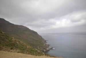 Desde Ciudad del Cabo: excursión de medio día a la playa de Boulders y los pingüinos