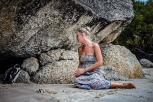 Fra Cape Town: En halvdagstur til Boulders Beach og pingviner