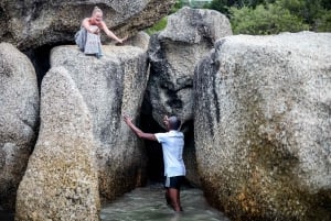 Fra Cape Town: En halvdagstur til Boulders Beach og pingviner