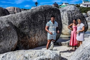 Fra Cape Town: En halvdagstur til Boulders Beach og pingviner