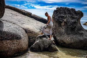 Fra Cape Town: En halvdagstur til Boulders Beach og pingviner