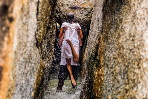 Kapkaupungista: Puolipäiväinen Boulders Beach ja pingviinikierros