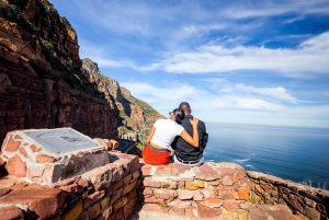 Kapkaupungista: Puolipäiväinen Boulders Beach ja pingviinikierros
