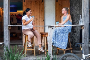 Kapkaupungista: Puolipäiväinen Boulders Beach ja pingviinikierros