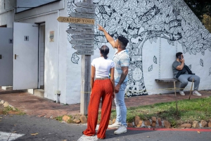 Kapkaupungista: Puolipäiväinen Boulders Beach ja pingviinikierros