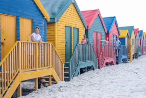 Kapkaupungista: Puolipäiväinen Boulders Beach ja pingviinikierros