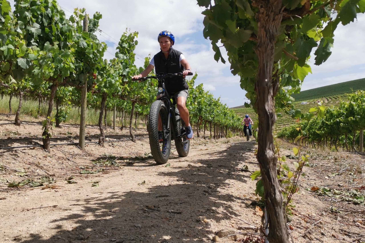 Au départ du Cap : Excursion d'une demi-journée en E-Bike dans les Winelands