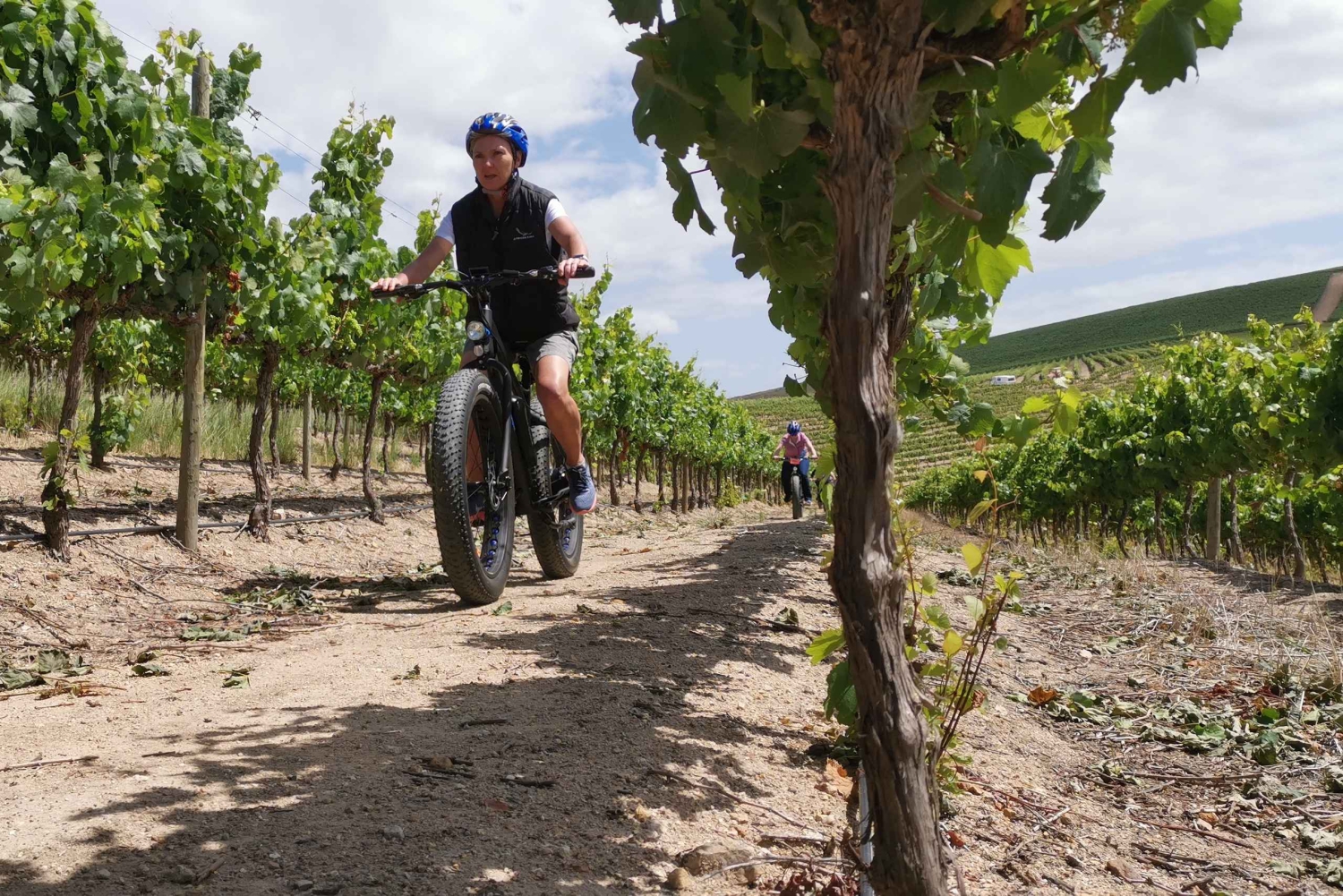 From Cape Town: Half-Day Winelands E-Bike Tour