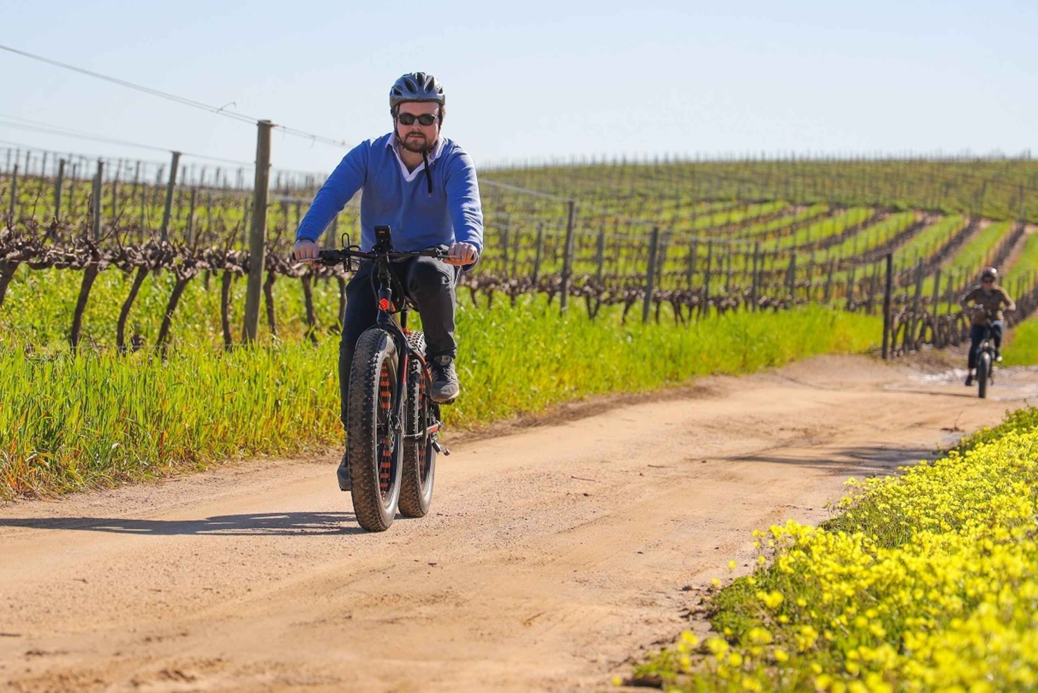 From Cape Town: Half-Day Winelands E-Bike Tour