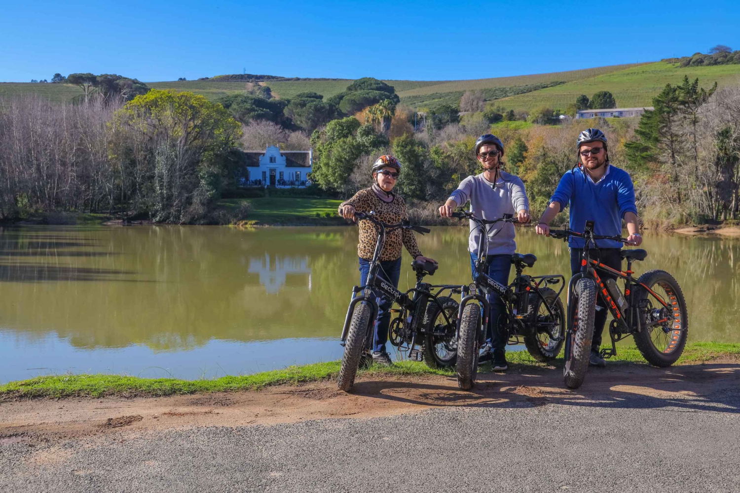 From Cape Town: Half-Day Winelands E-Bike Tour