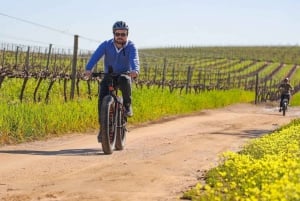 Ab Kapstadt: Halbtägige E-Bike Tour durch die Winelands