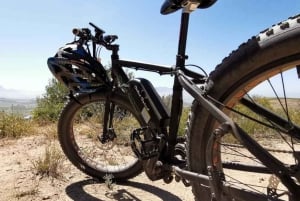 Da Cidade do Cabo: excursão de bicicleta elétrica de meio dia por Winelands