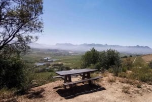 Au départ du Cap : Excursion d'une demi-journée en E-Bike dans les Winelands