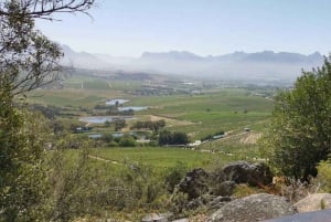 Из Кейптауна: электровелосипедный тур Winelands на полдня