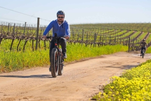 From Cape Town: Half-Day Winelands E-Bike Tour