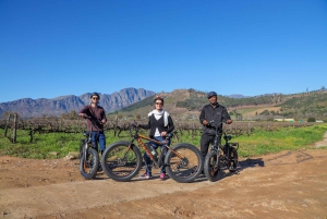 From Cape Town: Half-Day Winelands E-Bike Tour