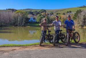 From Cape Town: Half-Day Winelands E-Bike Tour
