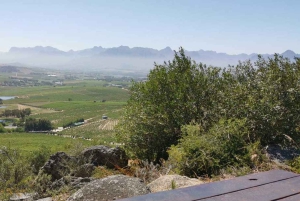 From Cape Town: Half-Day Winelands E-Bike Tour