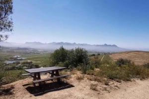 From Cape Town: Half-Day Winelands E-Bike Tour