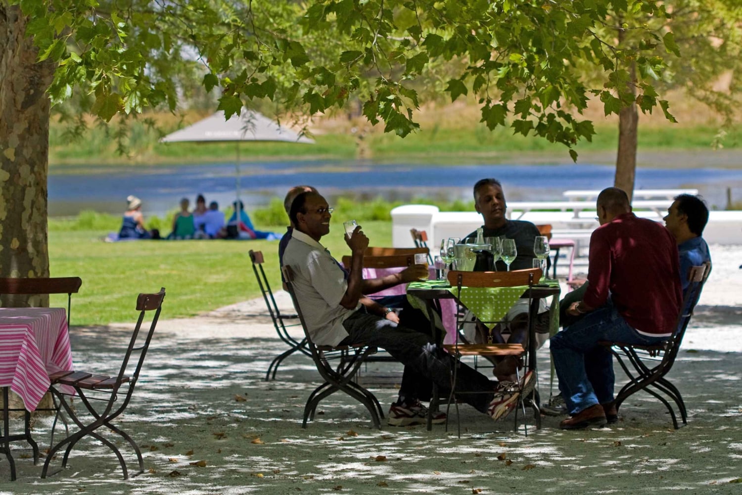 Из Кейптауна: полудневная экскурсия по винодельческим районам с дегустацией вин.