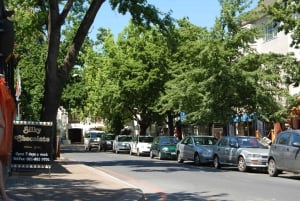 Из Кейптауна: полудневная экскурсия по винодельческим районам с дегустацией вин.